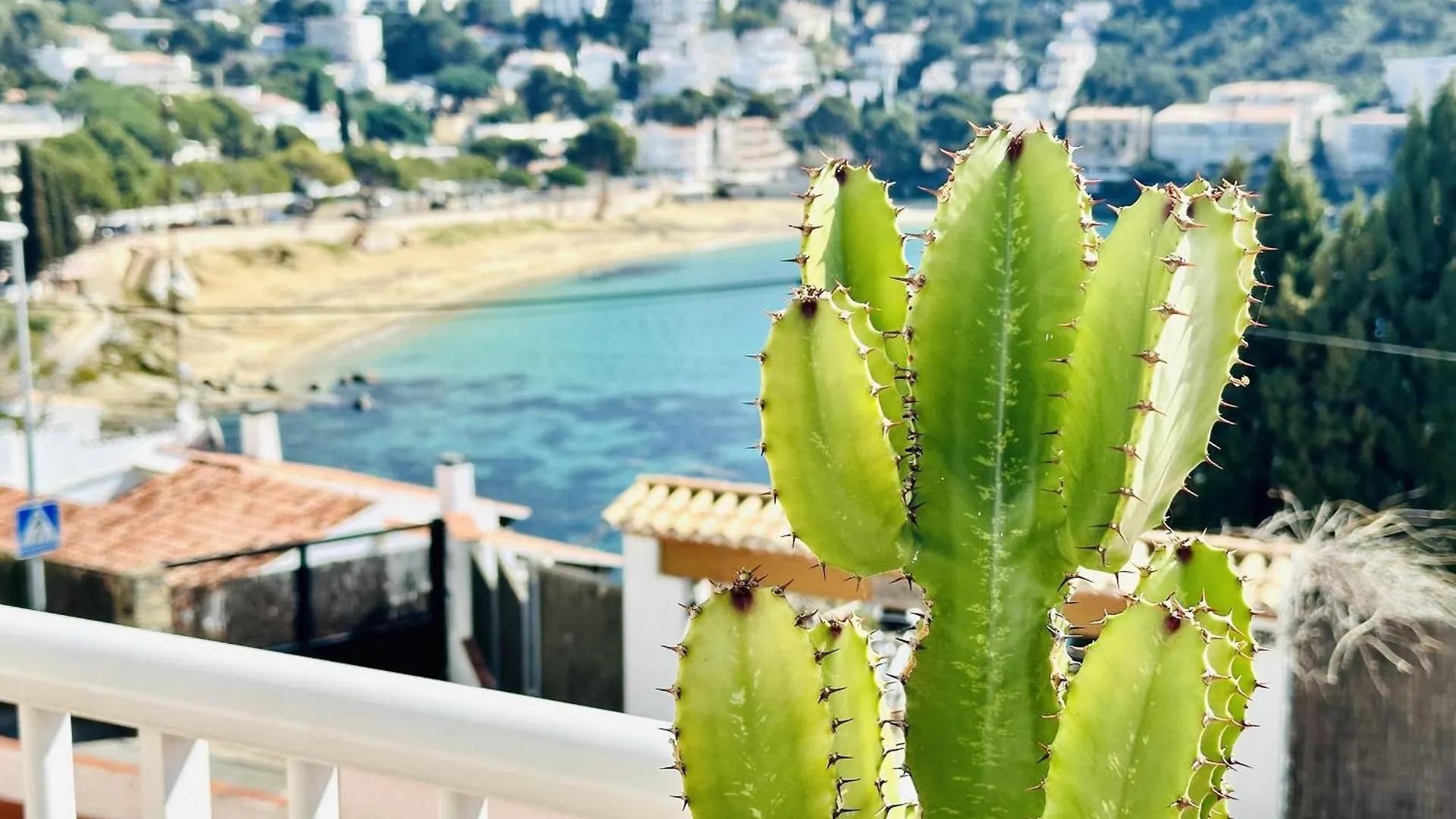 Apartament 3265 El Sol, 28, Maravillosa Vista Al Mar, Situacion Ideal Para Senderismo,A 150M De La Playa Y Rocas. - Es-258-57 Roses Hiszpania